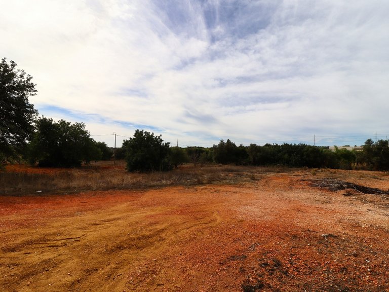 Terreno Rústico  Arrendamento em Guia,Albufeira 14