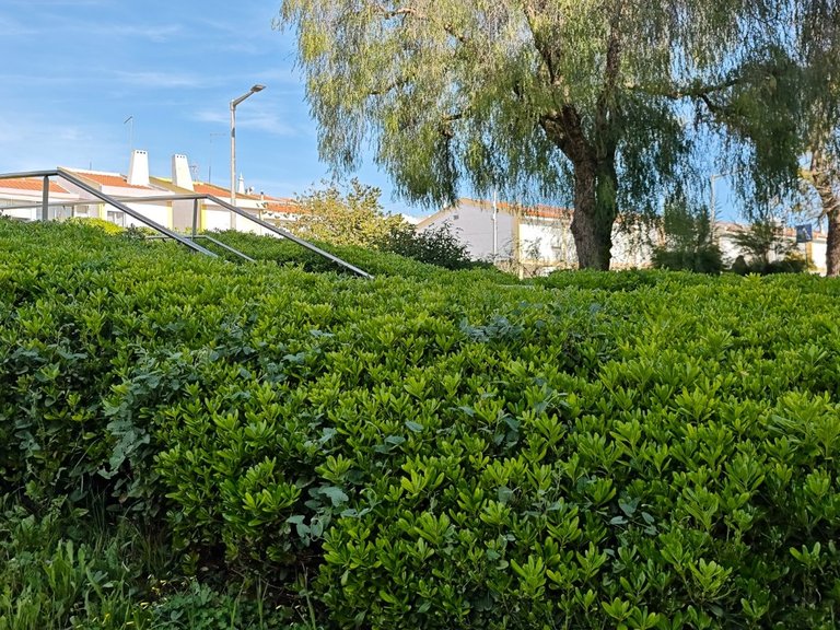 Apartamento T2 Venda em Albufeira e Olhos de Água,Albufeira 26