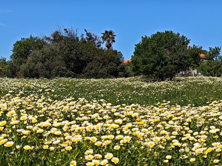Moradia Isolada T3 Venda em Guia,Albufeira 4