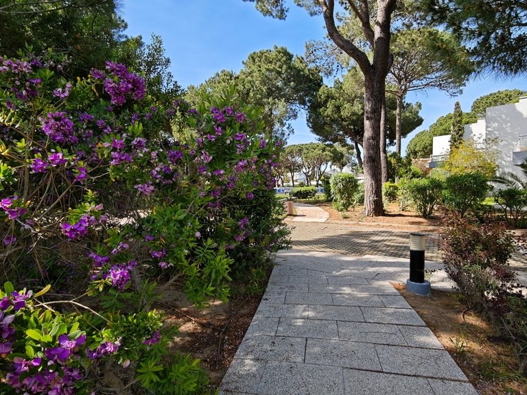 Apartamento T1 Venda em Quarteira,Loulé 52