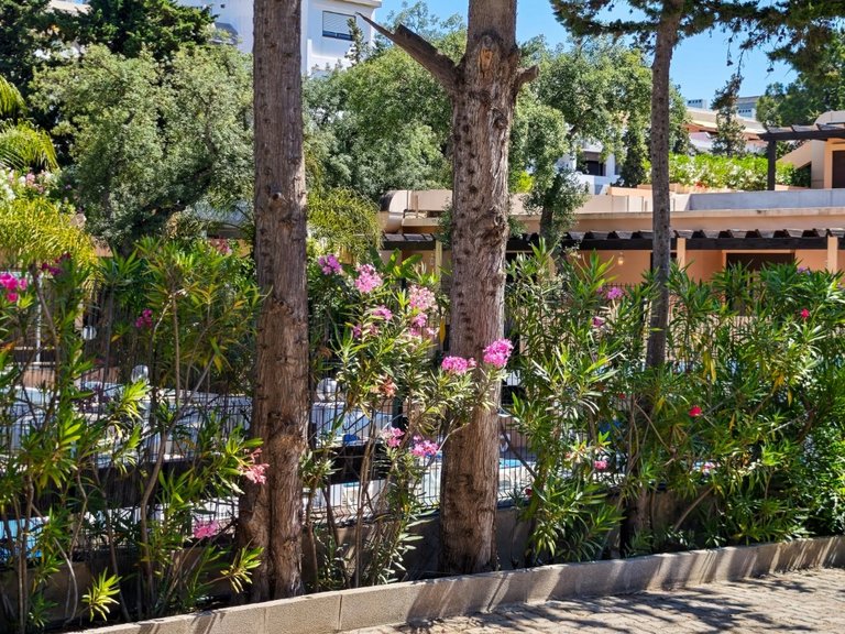 Apartamento T0 Venda em Albufeira e Olhos de Água,Albufeira 2