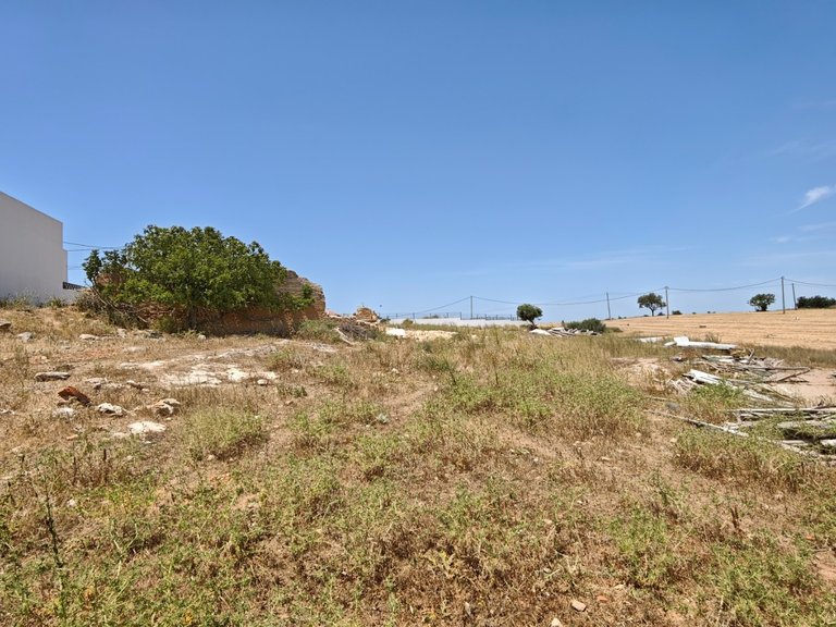 Terreno Urbano  Venda em Alcantarilha e Pêra,Silves 14