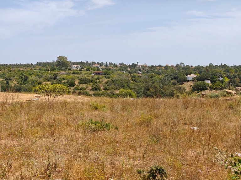 Terreno Urbano  Venda em Alcantarilha e Pêra,Silves 9
