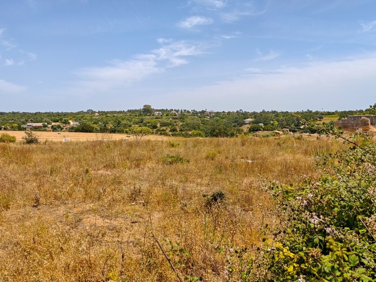 Terreno Urbano  Venda em Alcantarilha e Pêra,Silves 6