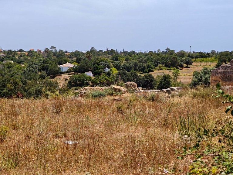Terreno Urbano  Venda em Alcantarilha e Pêra,Silves 3