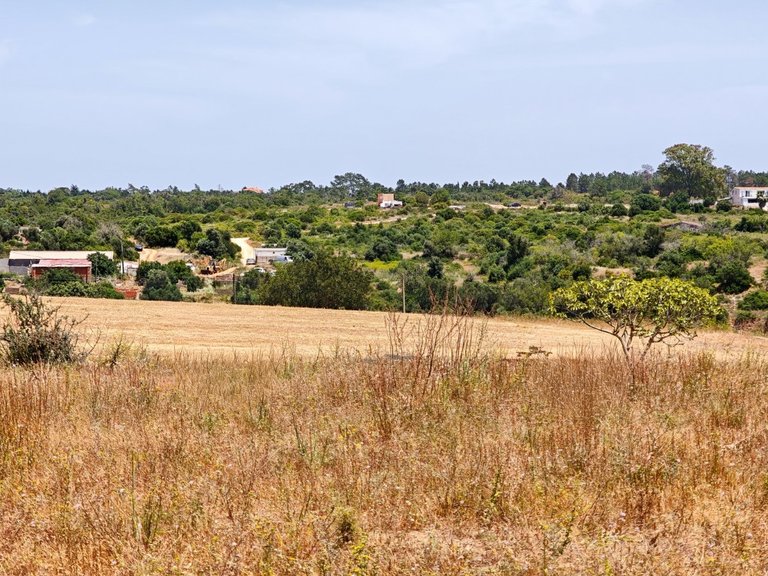 Terreno Urbano  Venda em Alcantarilha e Pêra,Silves 4