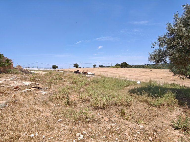 Terreno Urbano  Venda em Alcantarilha e Pêra,Silves 12
