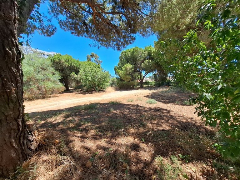 Moradia T3 DUPLEX Venda em Quarteira,Loulé 7