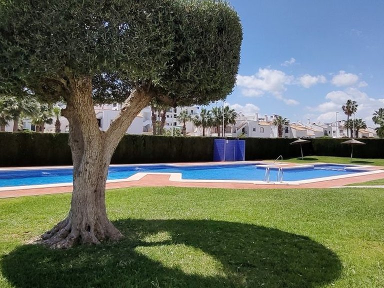 Villa for Sale in Villamartin, Alicante 22