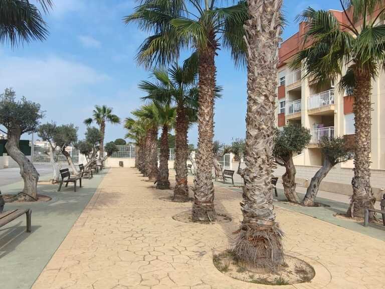Apartment for Sale in Cabo Roig, Alicante 20