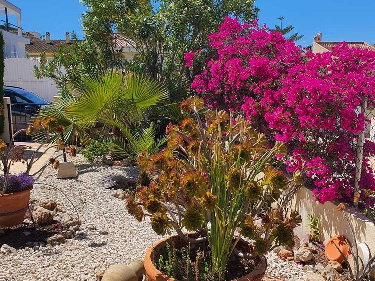 Town House for Sale in Costa Blanca Benimar, Alicante 15