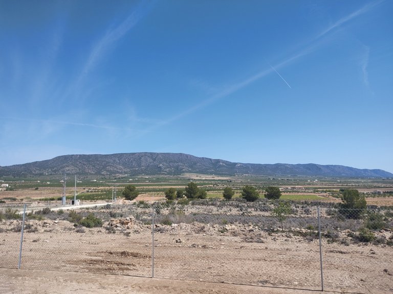 Villa for Sale in Inland Pinoso, Alicante 8
