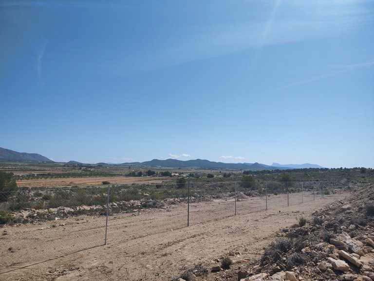 Villa for Sale in Inland Pinoso, Alicante 9