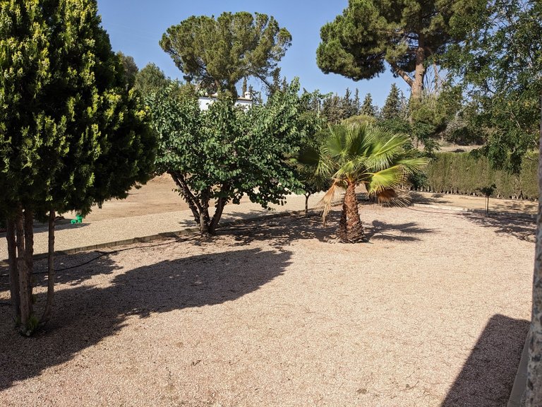Villa for Sale in Inland Murcia, Murcia 10