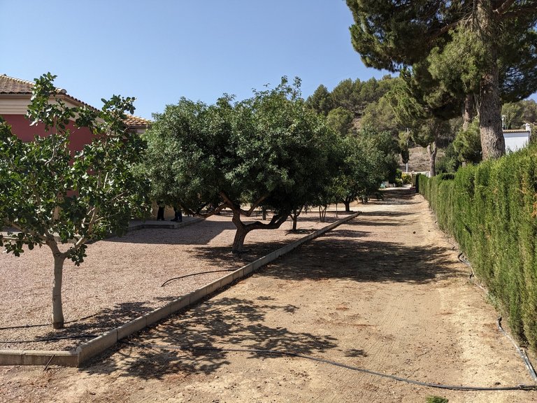 Villa for Sale in Inland Murcia, Murcia 21
