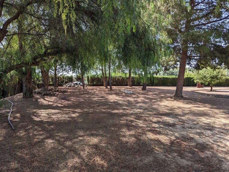 Villa for Sale in Inland Murcia, Murcia 22