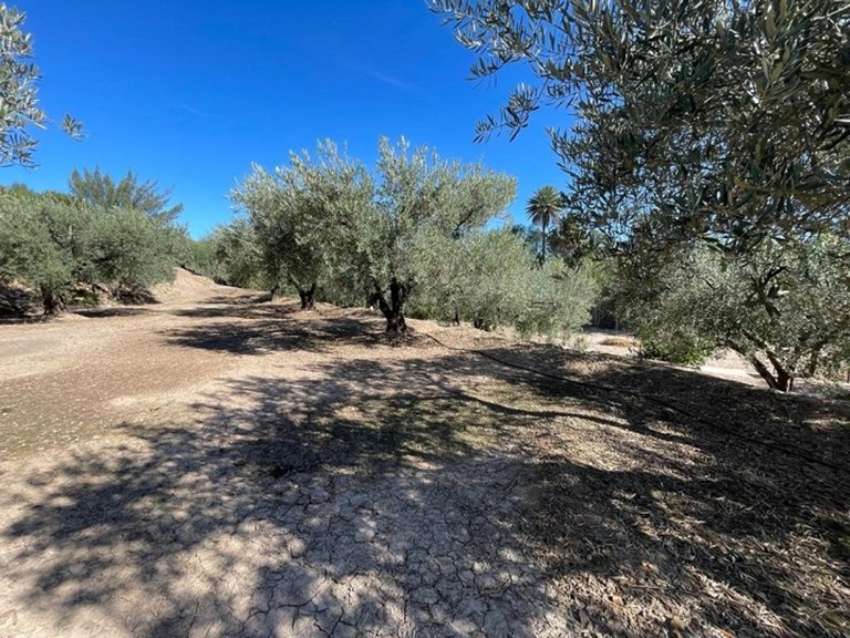 Villa for Sale in Inland Murcia, Murcia 43