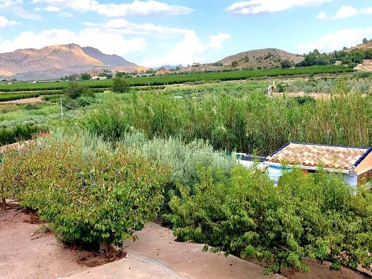 Villa for Sale in Inland Murcia, Murcia 5