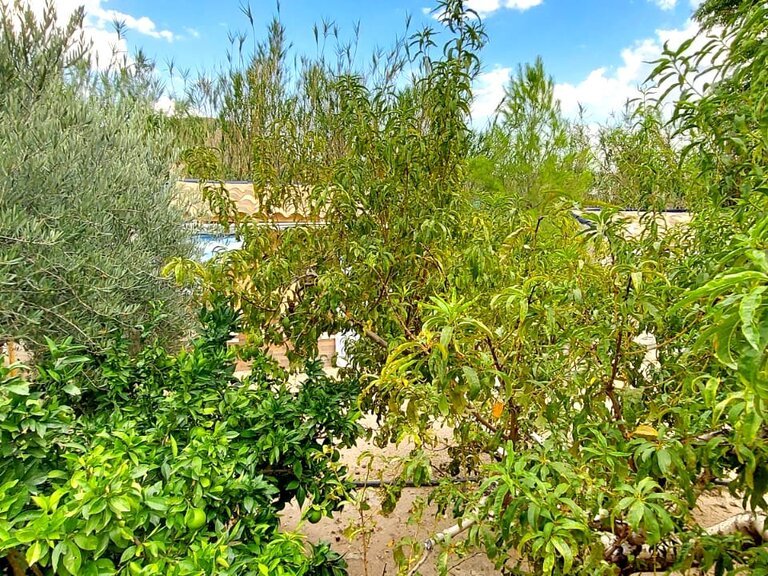 Villa for Sale in Inland Murcia, Murcia 38