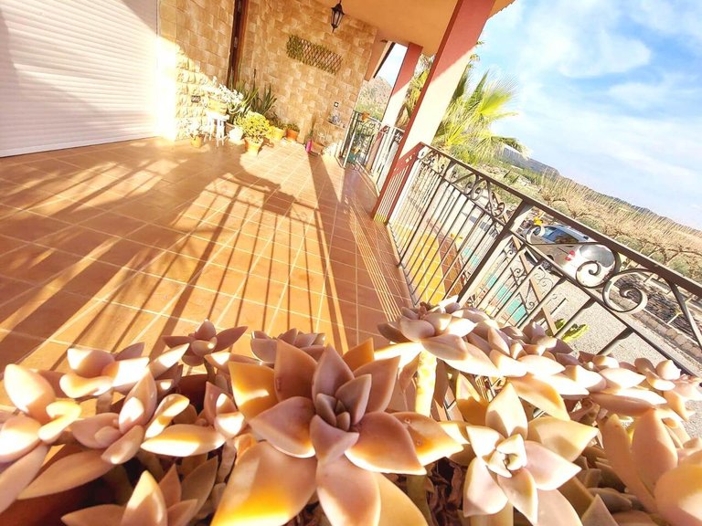 Villa for Sale in Inland Murcia, Murcia 34