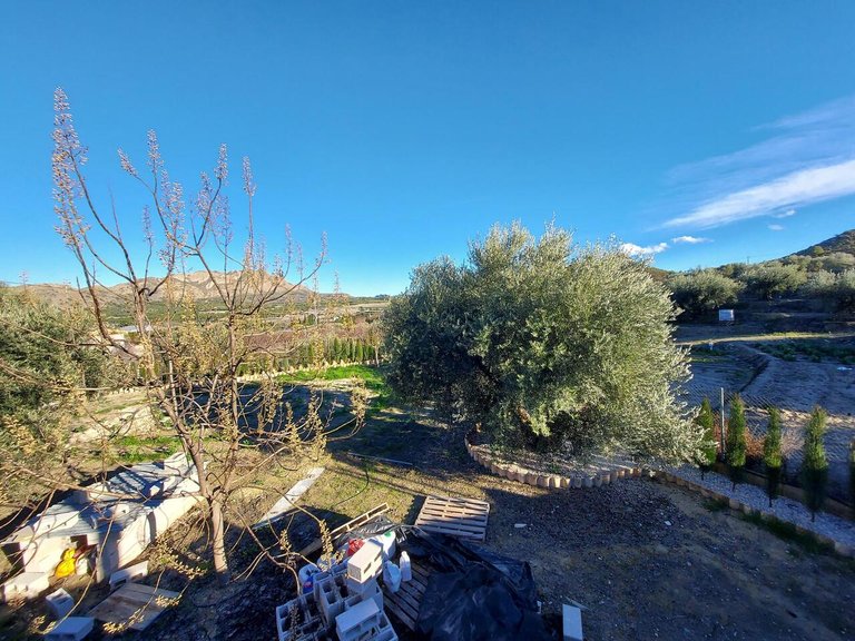 Villa for Sale in Inland Murcia, Murcia 8