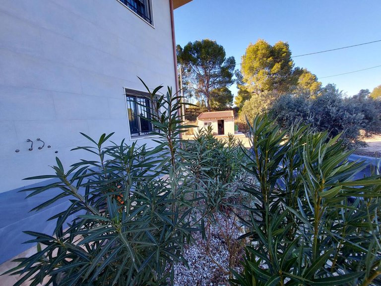 Villa for Sale in Inland Murcia, Murcia 13