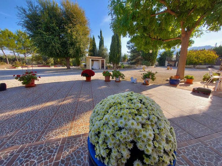Villa for Sale in Inland Murcia, Murcia 5