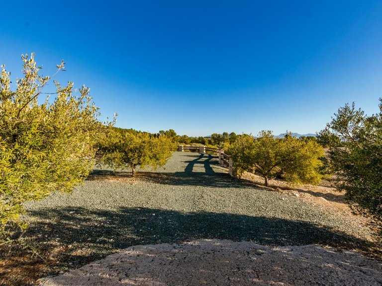 Villa for Sale in Lorca, Murcia 29