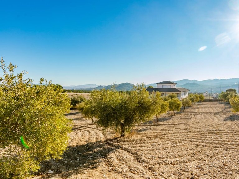 Villa for Sale in Lorca, Murcia 30