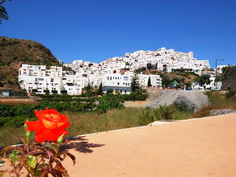 Villa for Sale in Los Gallardos, Almeria 15