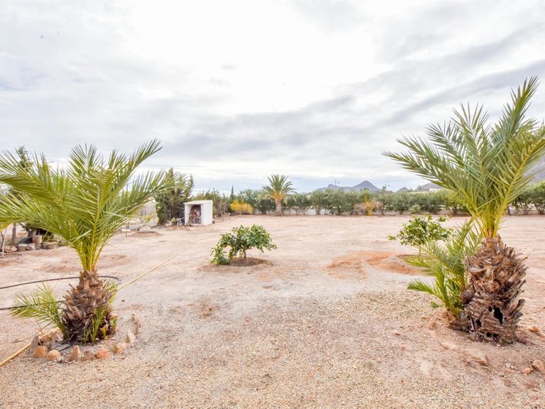 Villa for Sale in Pilar De Jaravia, Almeria 47