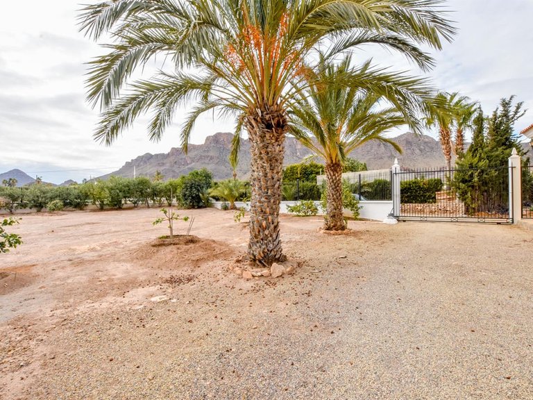 Villa for Sale in Pilar De Jaravia, Almeria 45