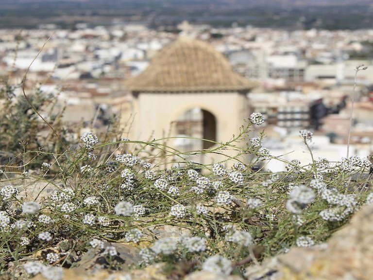 Town House for Sale in Cox, Alicante 28