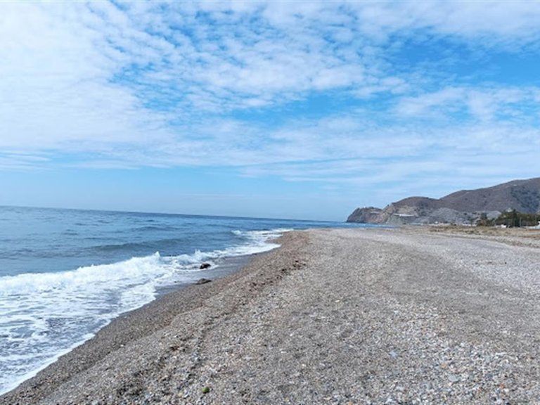 Apartment for Sale in Calahonda, Malaga 15