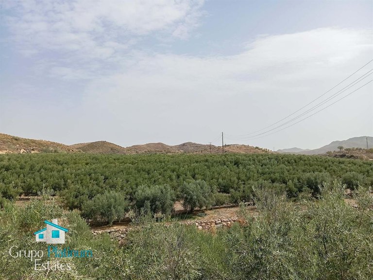 Town House for Sale in Lubrin, Almeria 29