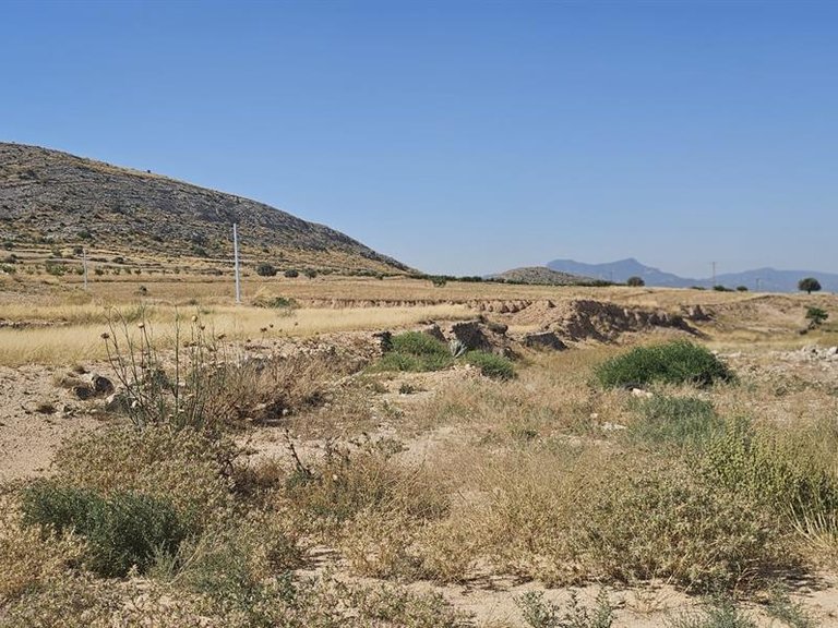 Villa for Sale in Jumilla, Murcia 13