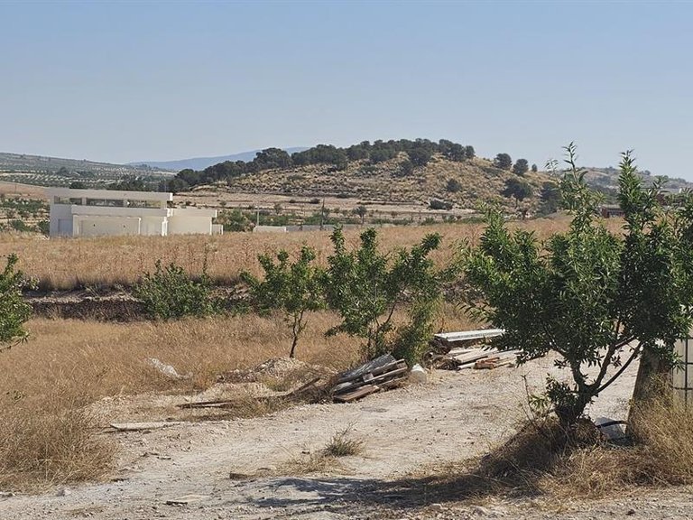 Villa for Sale in Jumilla, Murcia 16