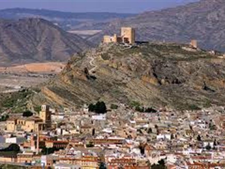 Villa for Sale in Jumilla, Murcia 21