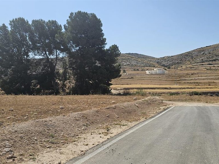 Villa for Sale in Jumilla, Murcia 13