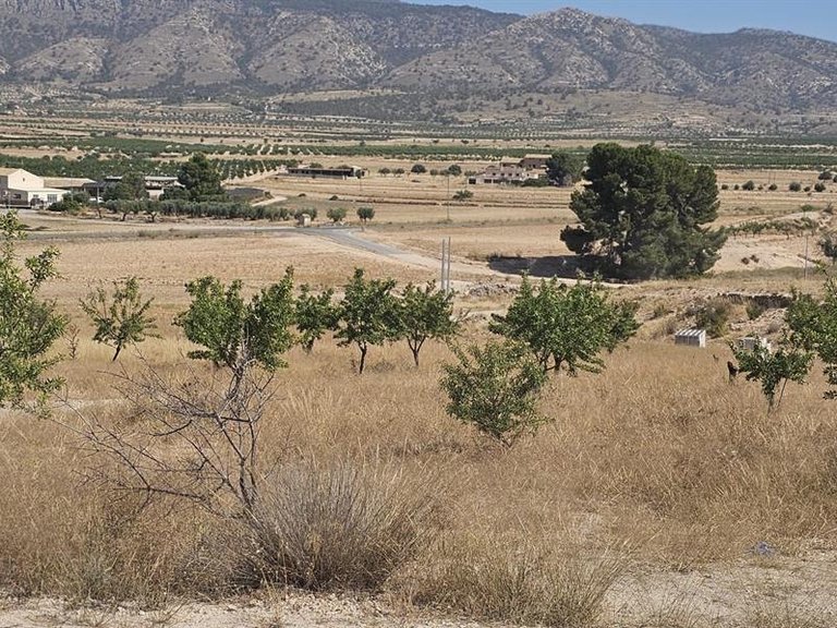 Villa for Sale in Jumilla, Murcia 12
