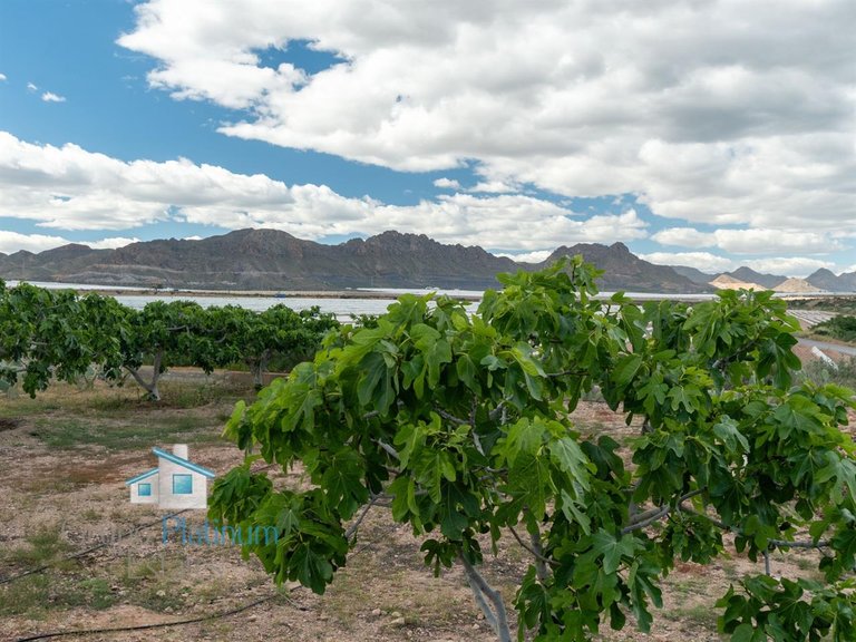 Villa for Sale in Águilas, Murcia 34