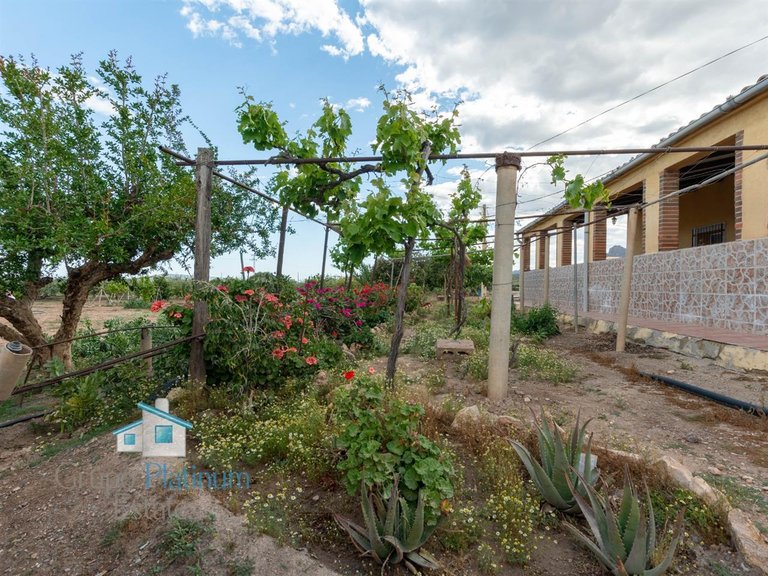 Villa for Sale in Águilas, Murcia 28