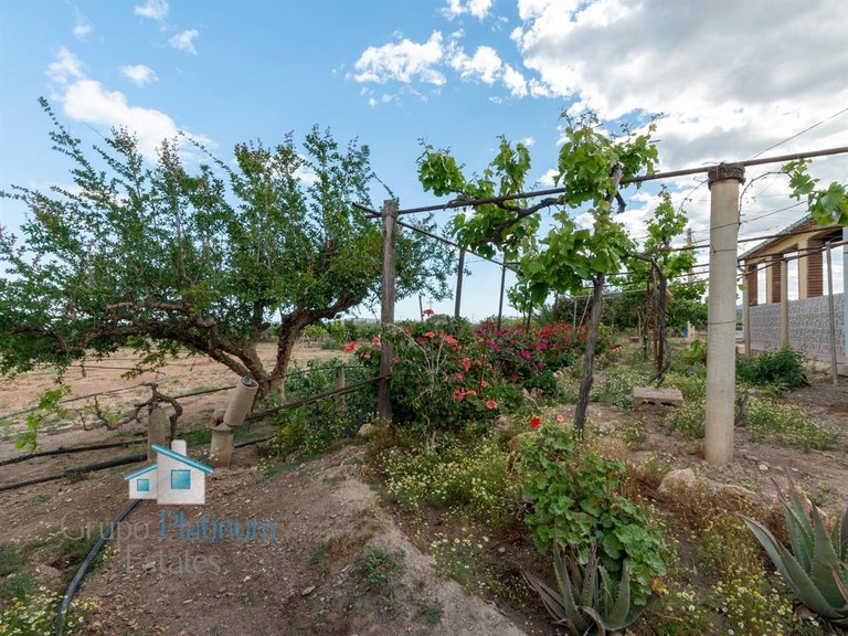 Villa for Sale in Águilas, Murcia 35
