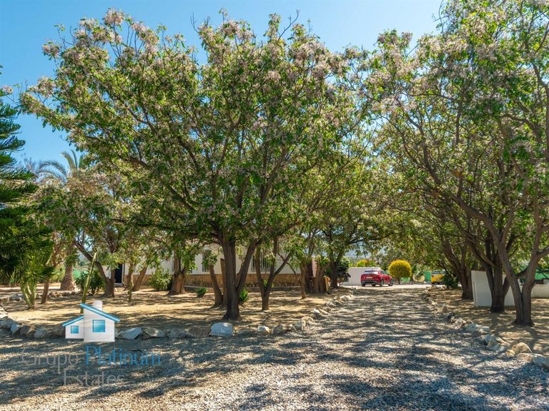 Villa for Sale in Cuevas Del Almanzora, Almeria 29