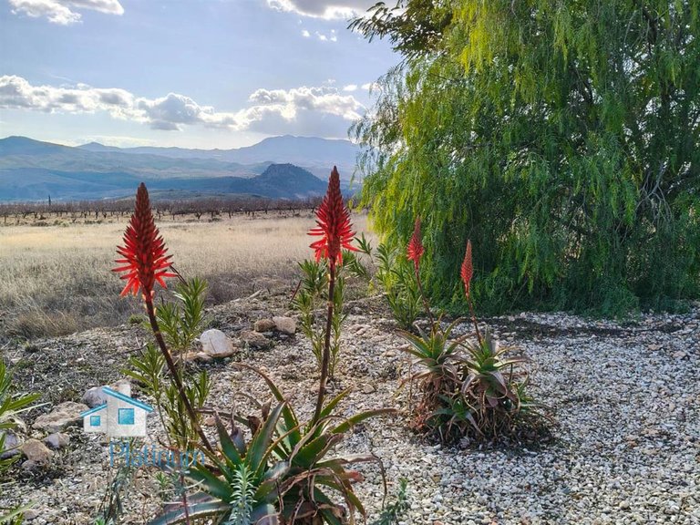 Villa for Sale in Fontanares, Murcia 31