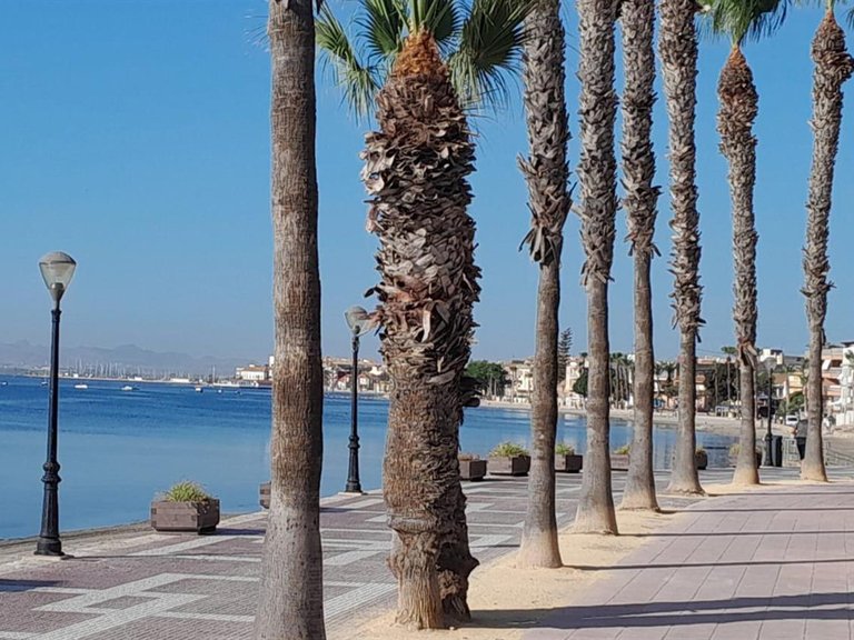 Villa for Sale in Alcazares Los, Murcia 39