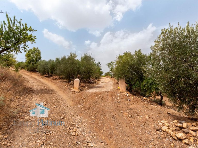 Villa for Sale in Hueneja, Granada 33