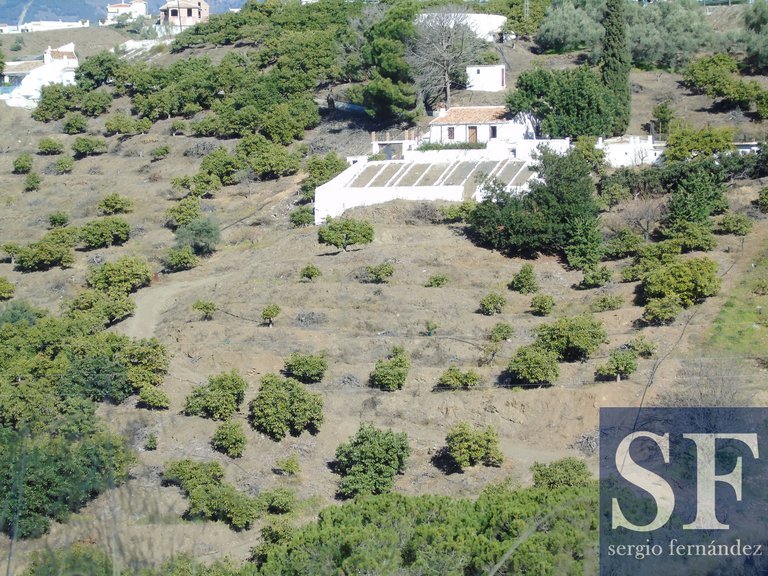 Villa for Sale in Cómpeta, Malaga 10