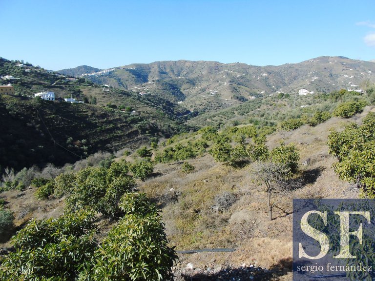 Villa for Sale in Cómpeta, Malaga 11