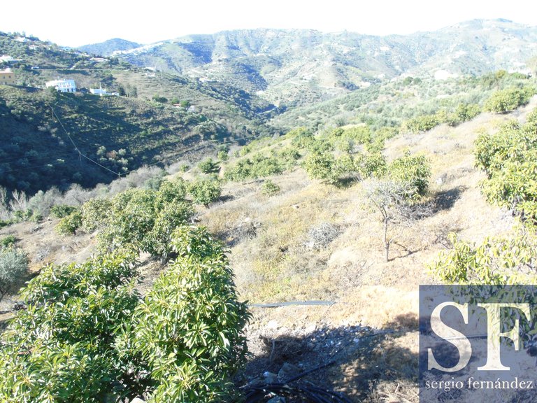Villa for Sale in Cómpeta, Malaga 13